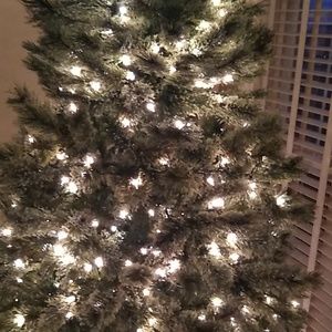 Meet your Posher, Adriana